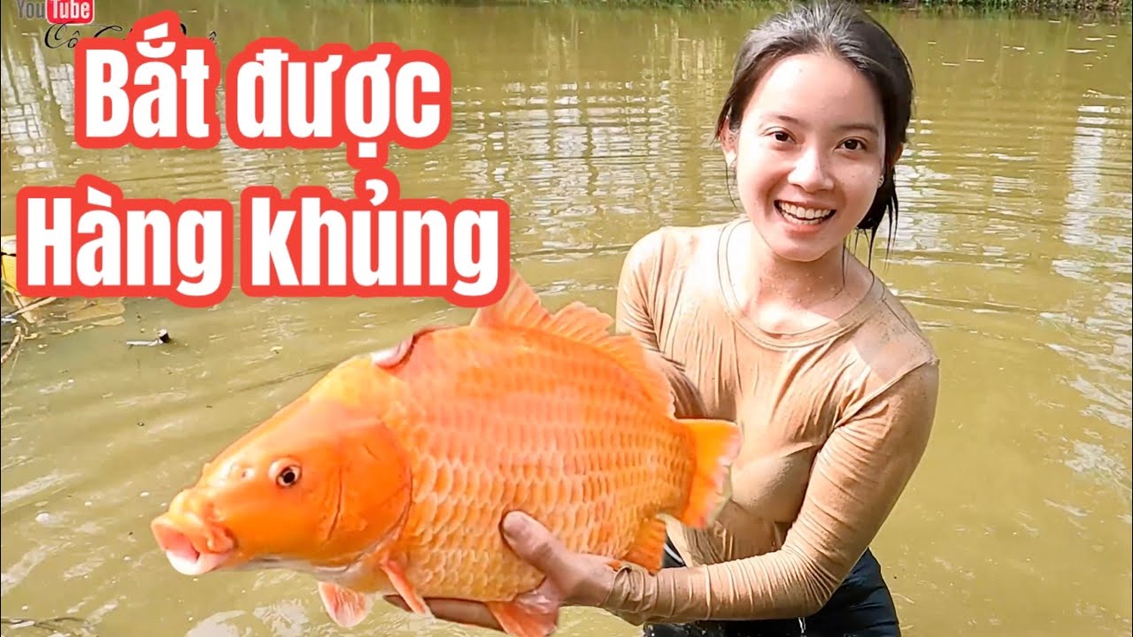 LẦN ĐẦU BẮT ĐƯỢC CHIẾN MÃ ÔNG TÁO BỎ QUÊN - CGQ 593