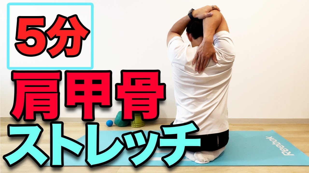 【肩甲骨が硬い人向け！】５分！肩甲骨ストレッチ