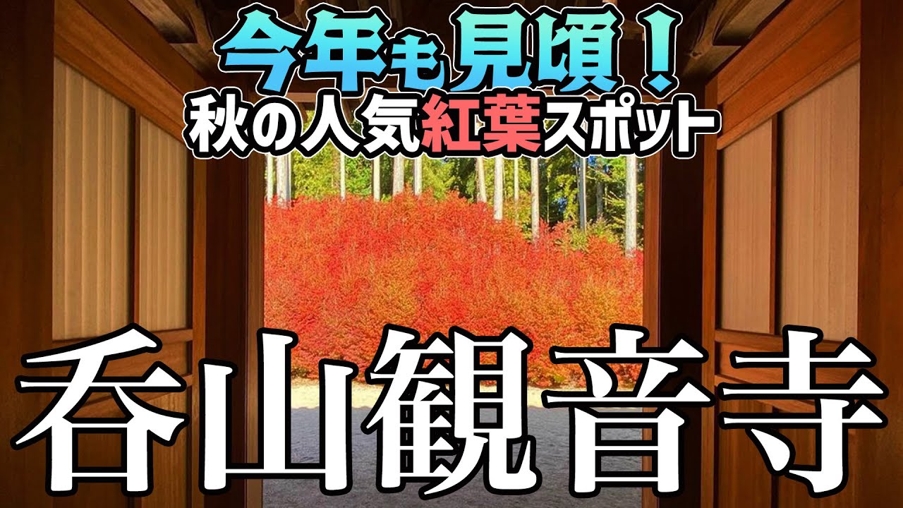 【秋見頃】インスタ爆裂人気の呑山観音寺｜紅葉超見頃の季節に訪問【福岡県篠栗町】