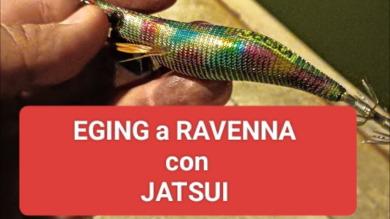 pescata a eging a RAVENNA PORTO CORSINI 🔥con JATSUI MULTICROME 3.0