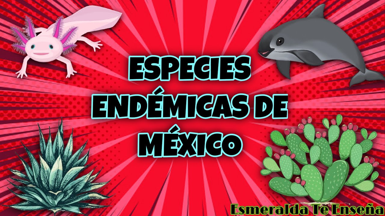 Especies end&eacute;micas de M&eacute;xico - Esmeralda Te Ense&ntilde;a