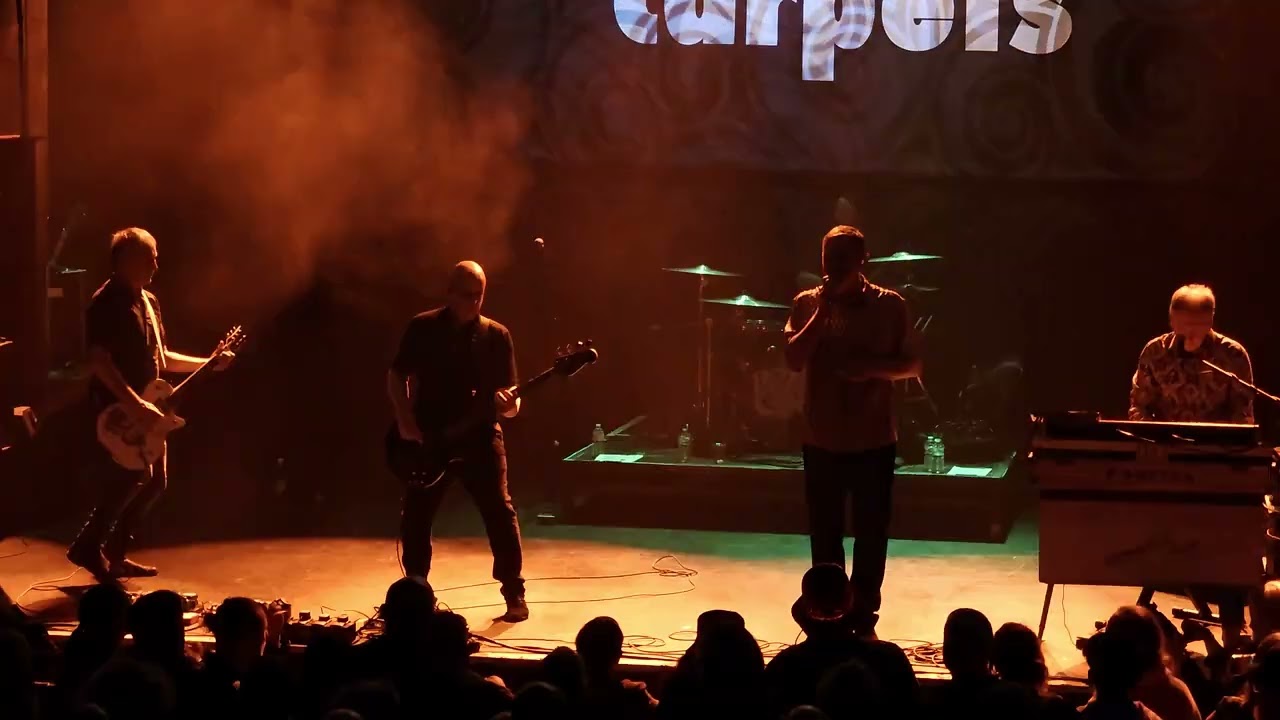 Inspiral Carpets - Sackville