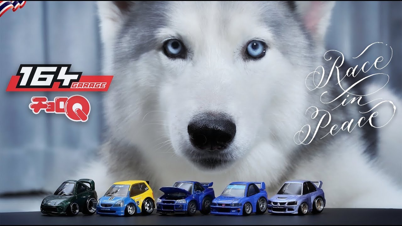 1/64 Scale รถสายน้อน 164Garage ChoroQ