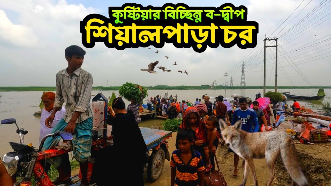 Kushtia's isolated delta, Shialpara || Living like a helpless person in a remote pasture and a li...