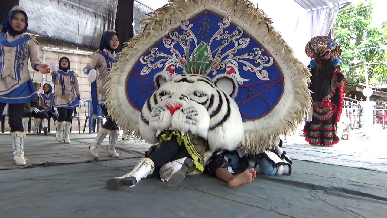 Mayoret  Cantik JMP dicaplok Barongan Biru | JMP Drumband live Ngroto Gubug Grobogan 