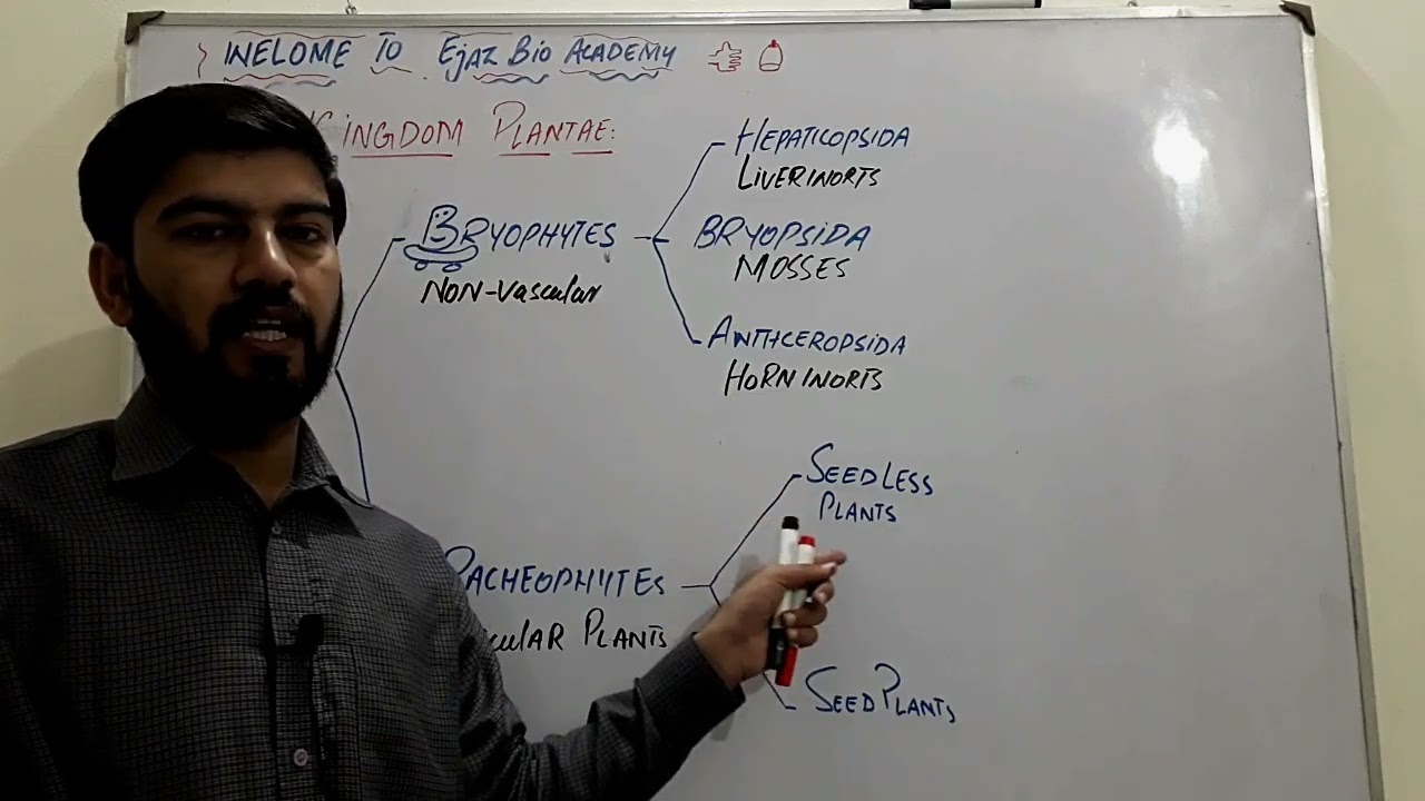 Kingdom Plantae (Plants) | Evolutionary Sequence & Classification Flow Chart | FSc | A & O Levels