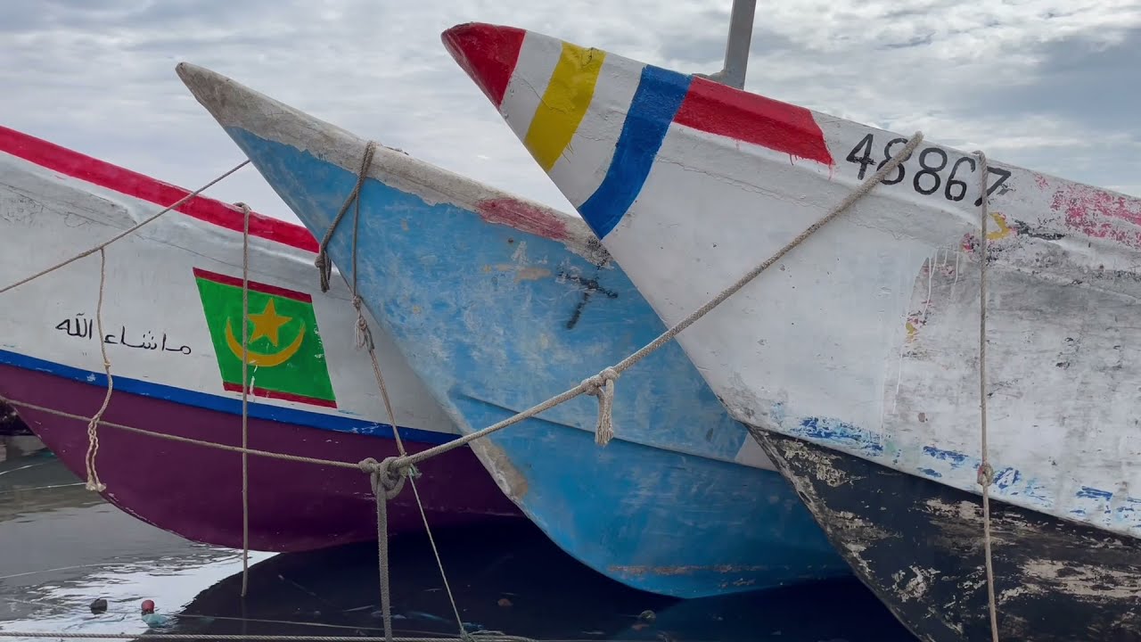 Fish market Nouadhibou Mauritania