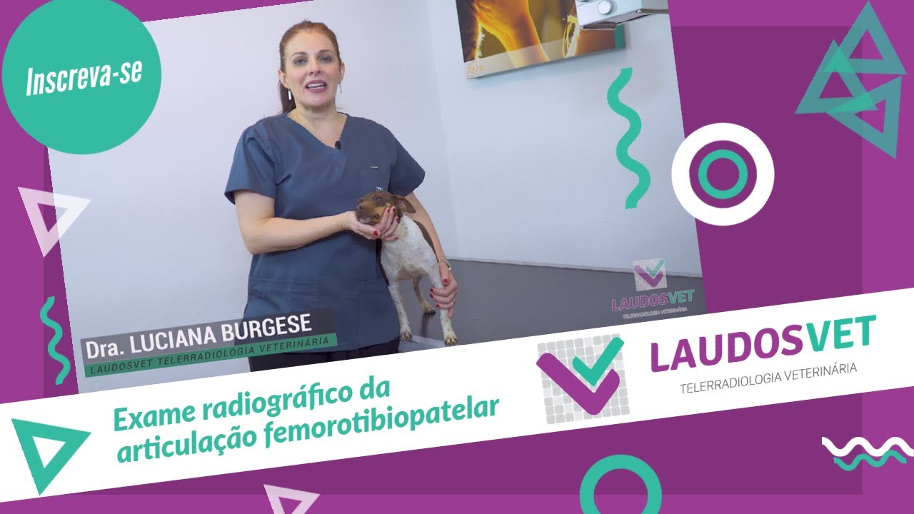 Exame radiográfico da articulação femorotibiopatelar