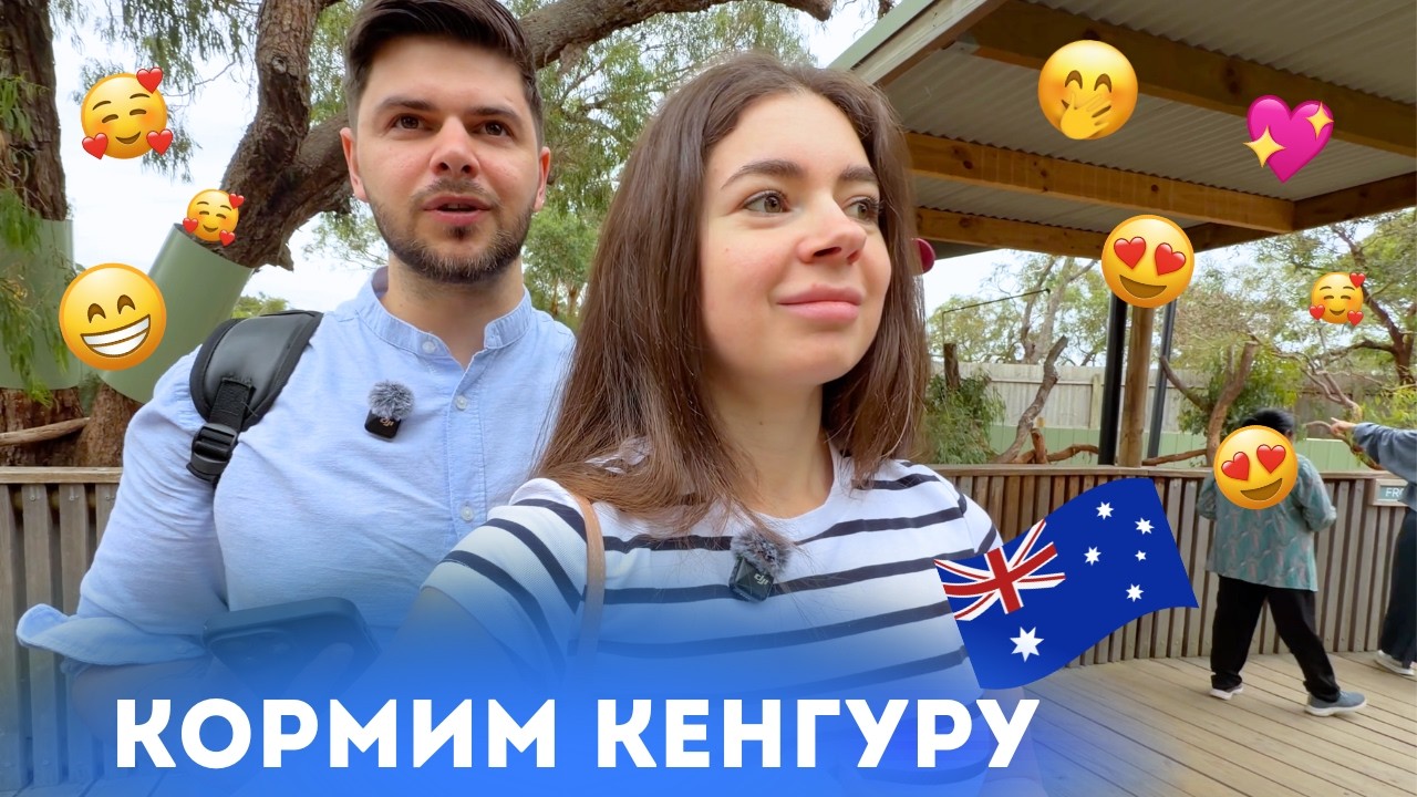 Мы кормили кенгуру! 🦘 А вечером увидели парад пингвинов 🐧 | Австралия