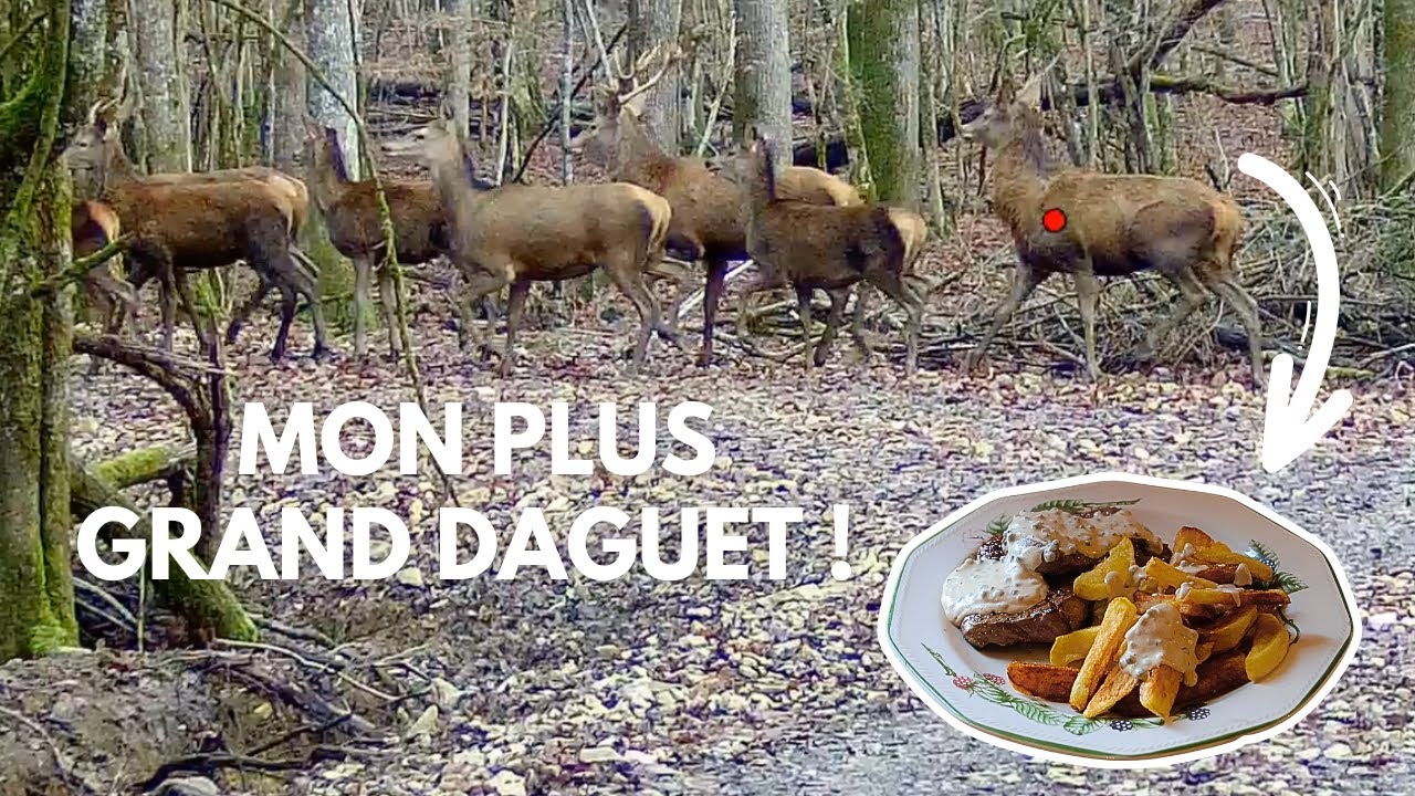 DE LA CHASSE À L'ASSIETTE : MON PLUS GRAND DAGUET !