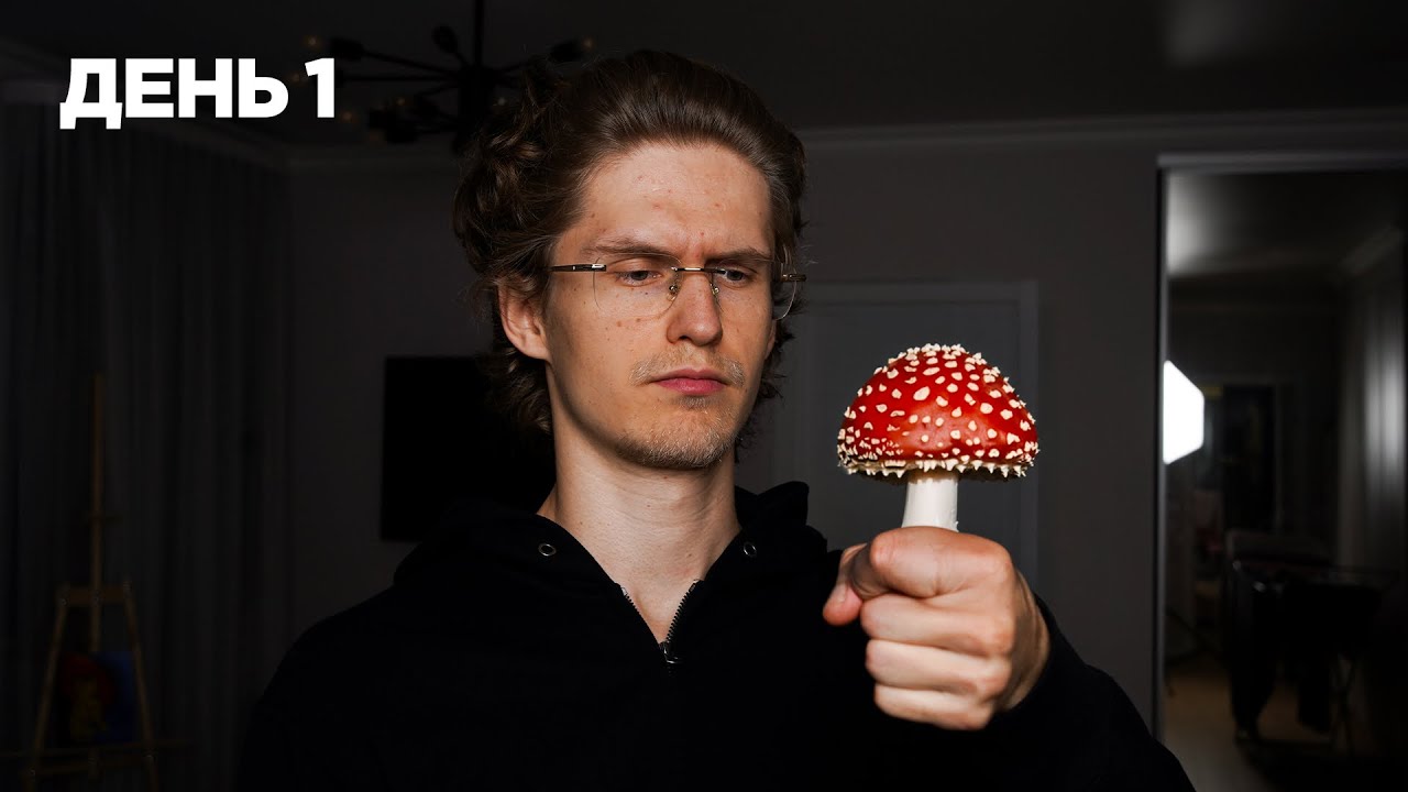 Я ел мухоморы 30 дней, вот что со мной произошло