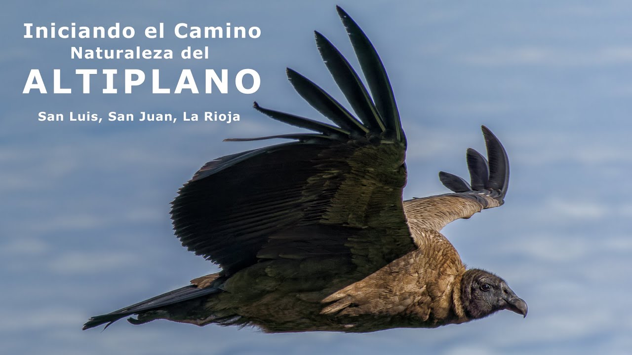Iniciando el Camino - San Luis, San Juan, La Rioja, Argentina - Naturaleza del Altiplano