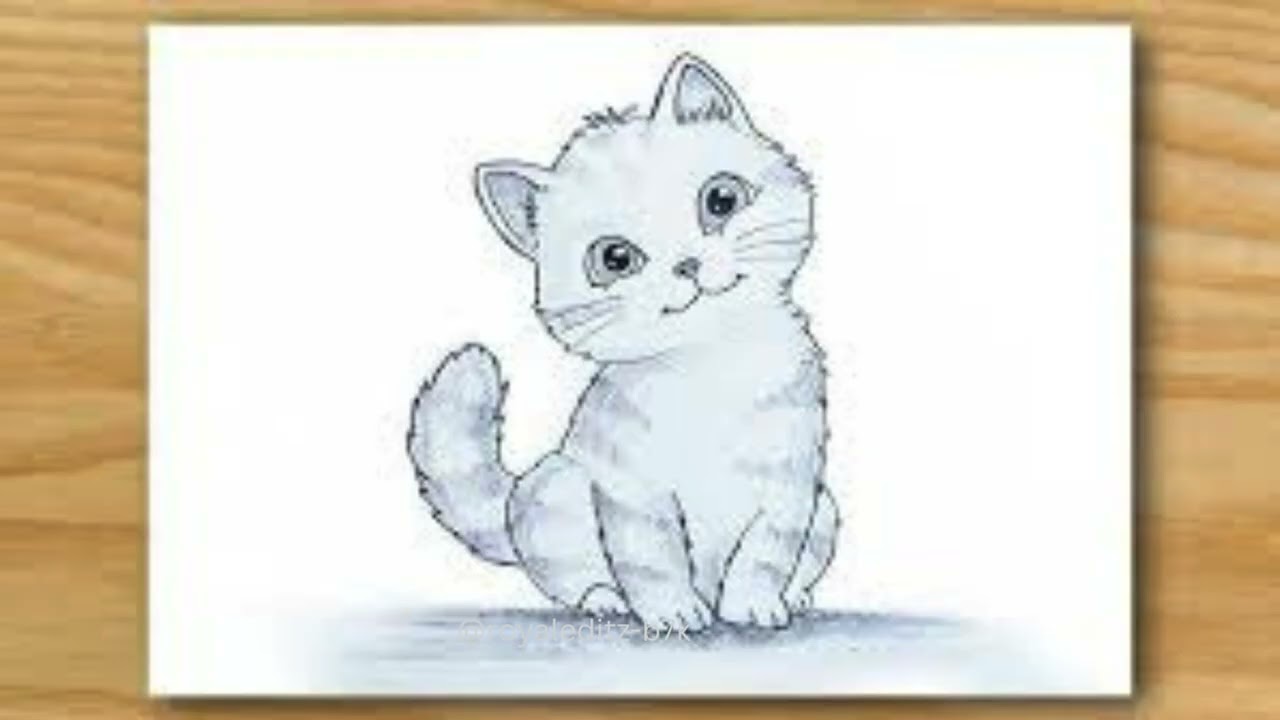 Cute Cat Drawing Ideas #mysteva #shortsfeed #aestheticvideos #kitten