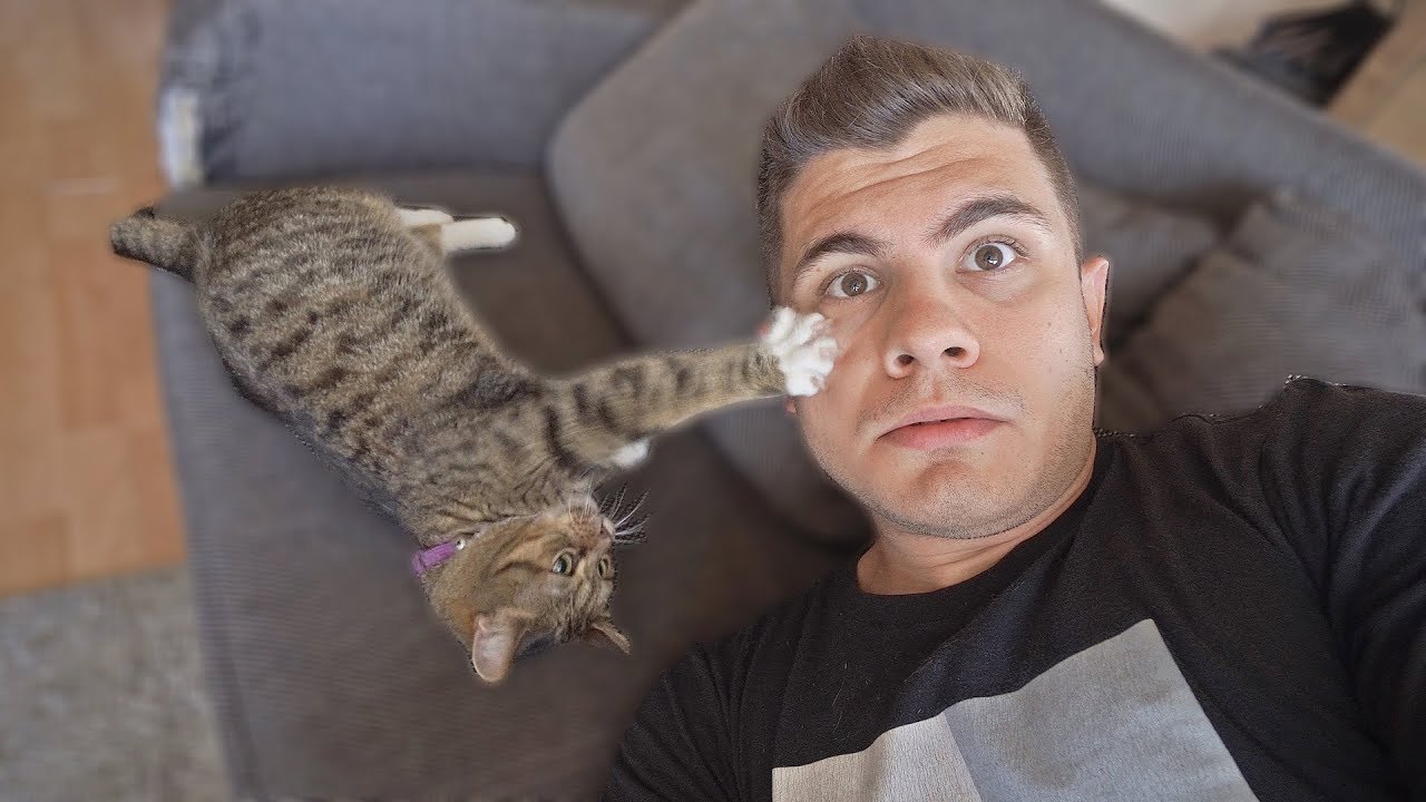 A BESZÉLŐ CICÁM ÉLETE #2.