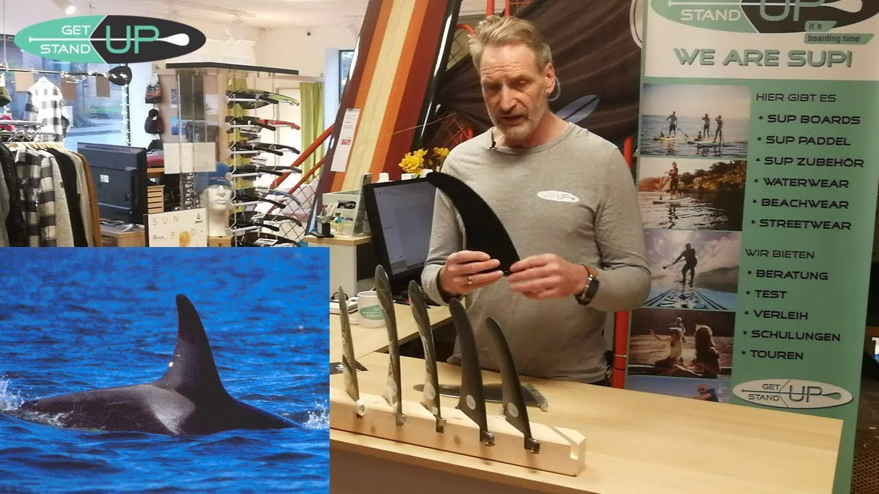 Finnen bei Stand Up Paddling