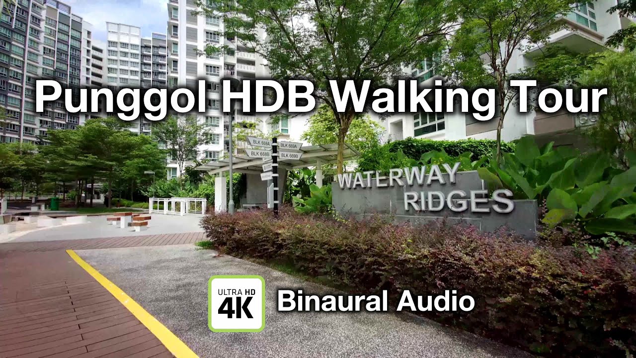 Waterway Ridges Punggol HDB Walking Tour [Singapore] 4K & Binaural Audio