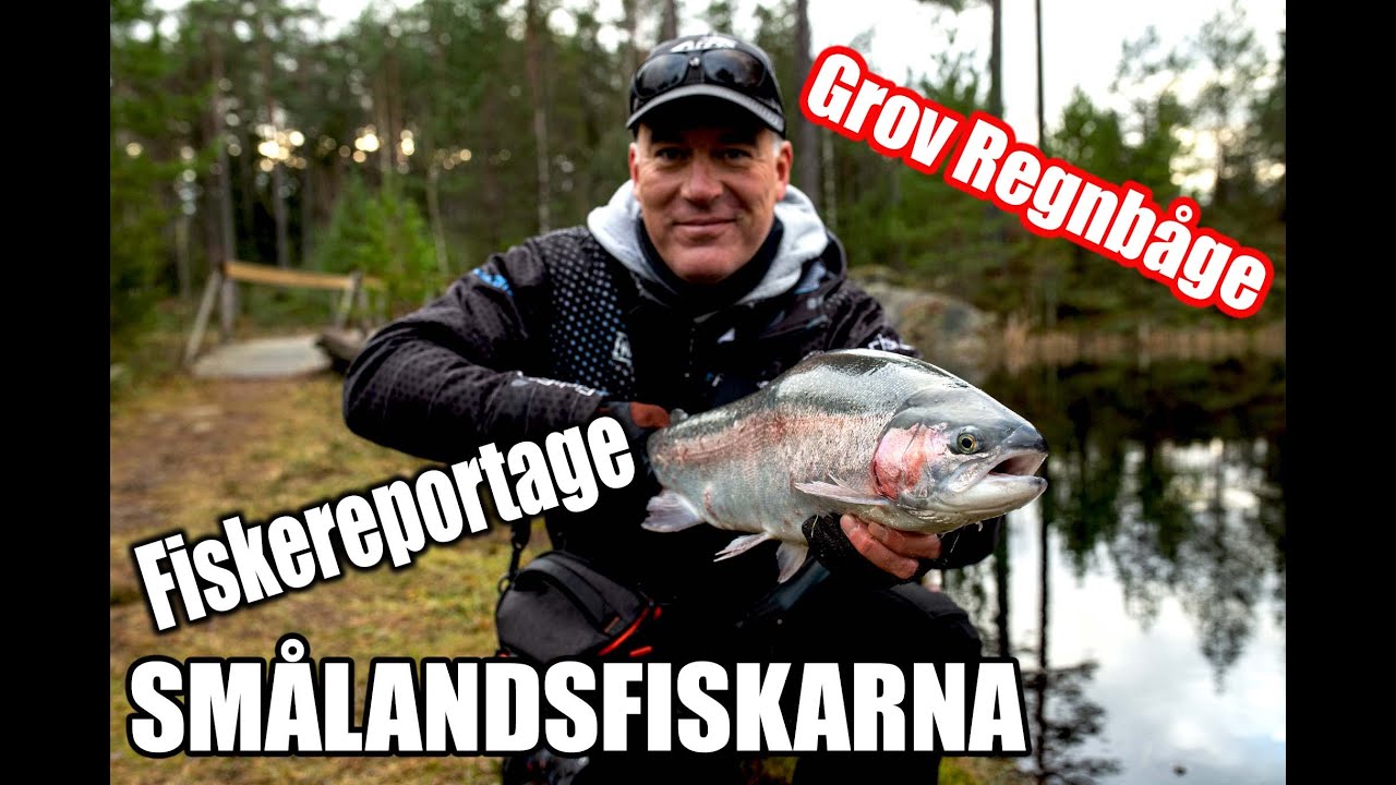 Grov regnbåge på fluga hos Smålandsfiskarna