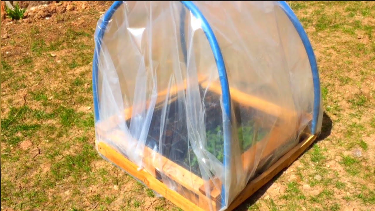 Bahçesi Olmayanlar İçin Balkon Serası Evinizde Fide Yetiştirin 🌱 Düşük Maliyetli Sera Yapımı 🌱🍅
