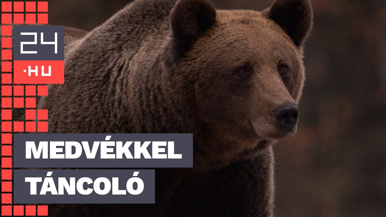 Medvék között talált boldogságra a vagyonát elvesztő milliárdos | 24.hu