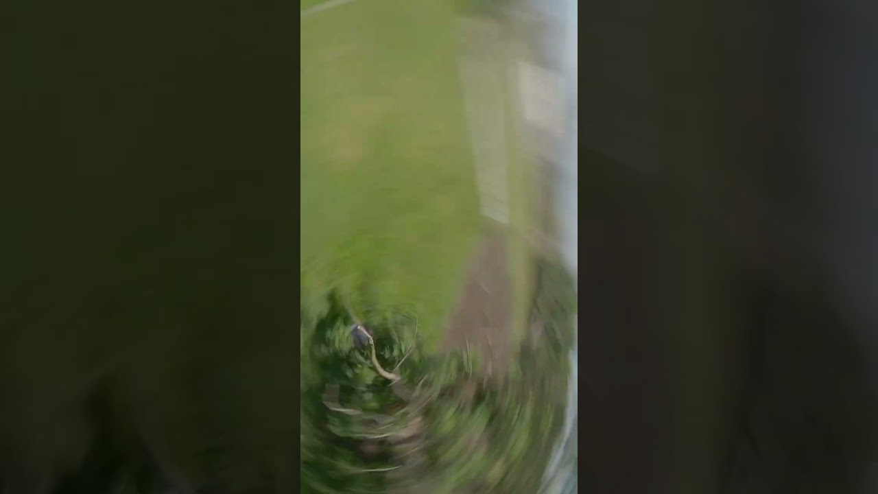 #fpvdronefreestyle #droneaccessories #goprofpv #dronegopro #action4
