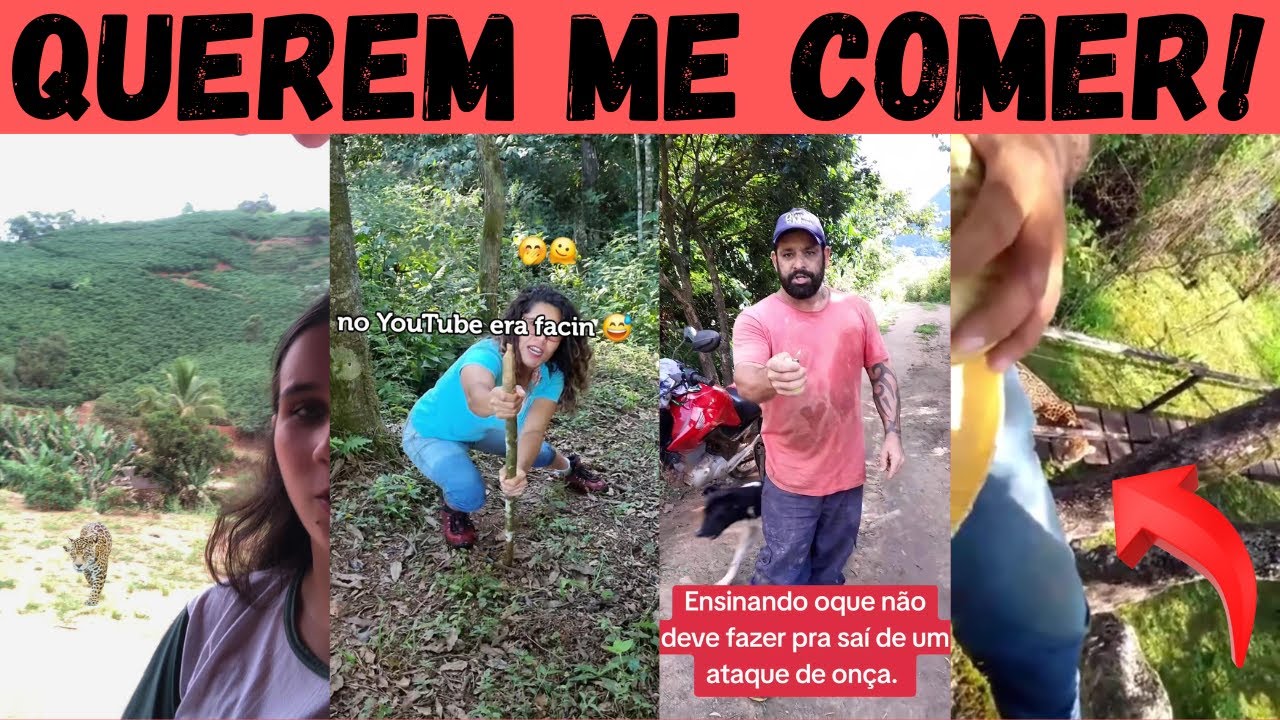 ATAQUE de ON&Ccedil;A: melhor escapar fedendo que morrer cheiroso! Veja como sobreviver.