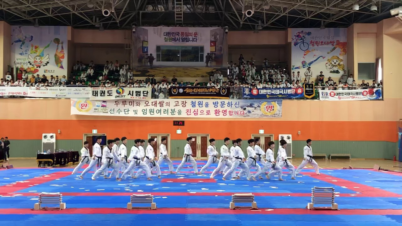 2019 한국체육대학교 총장배 태권도 대회 개막식 시범