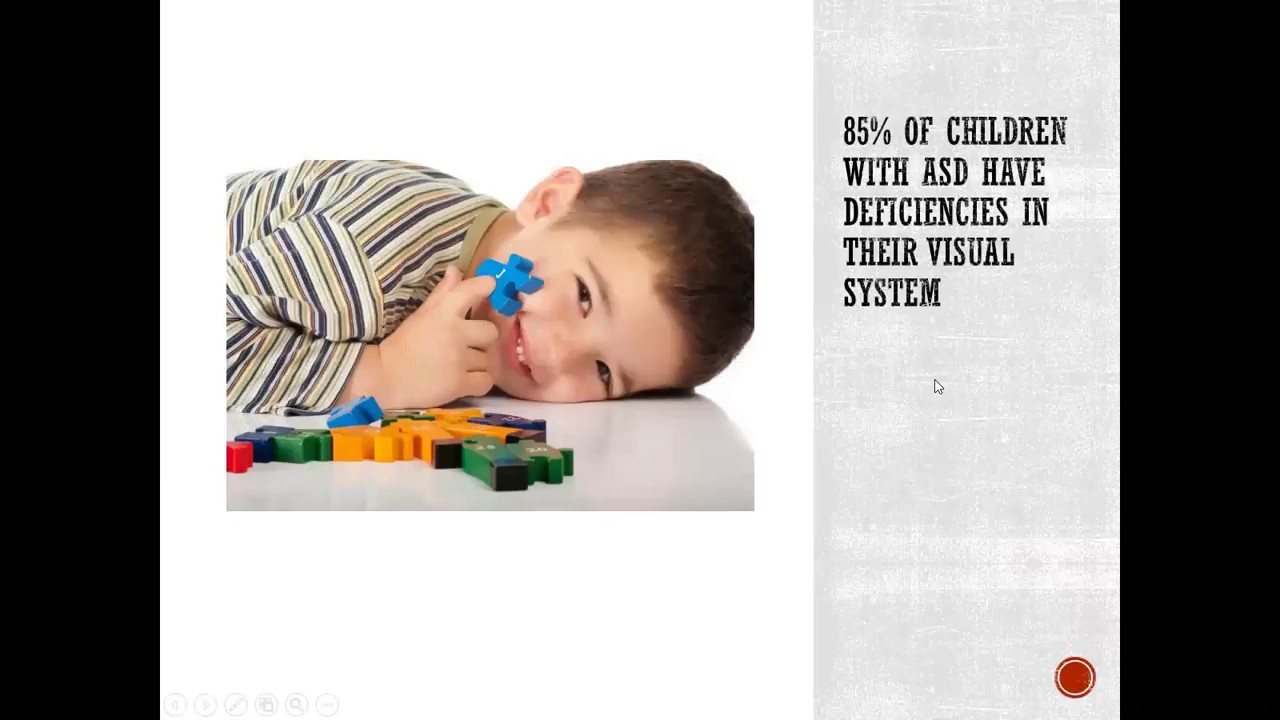 Vision and Autism: More Than Meets the Eye