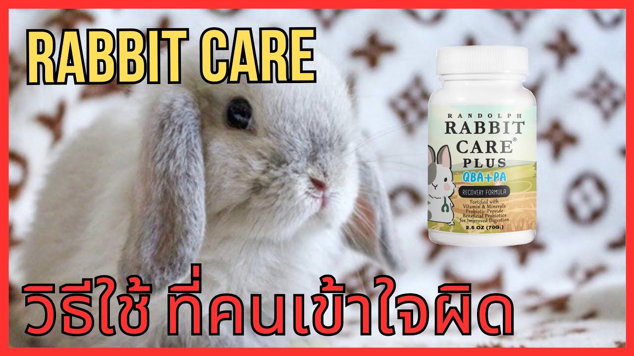 RABBIT CARE ดีไหม?วิธีใช้ ที่หลายๆคนเข้าใจผิด และใช้เมื่อไหร่lโจรักสัตว์