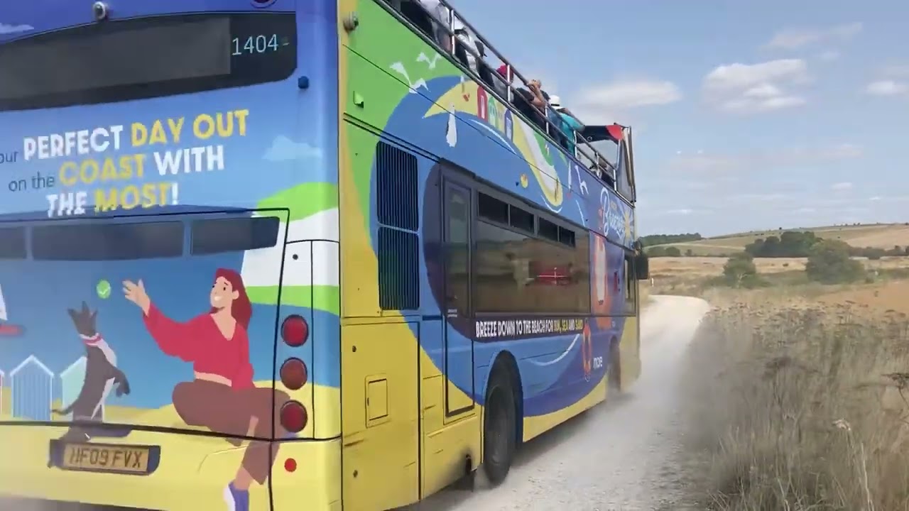 Imberbus 2024