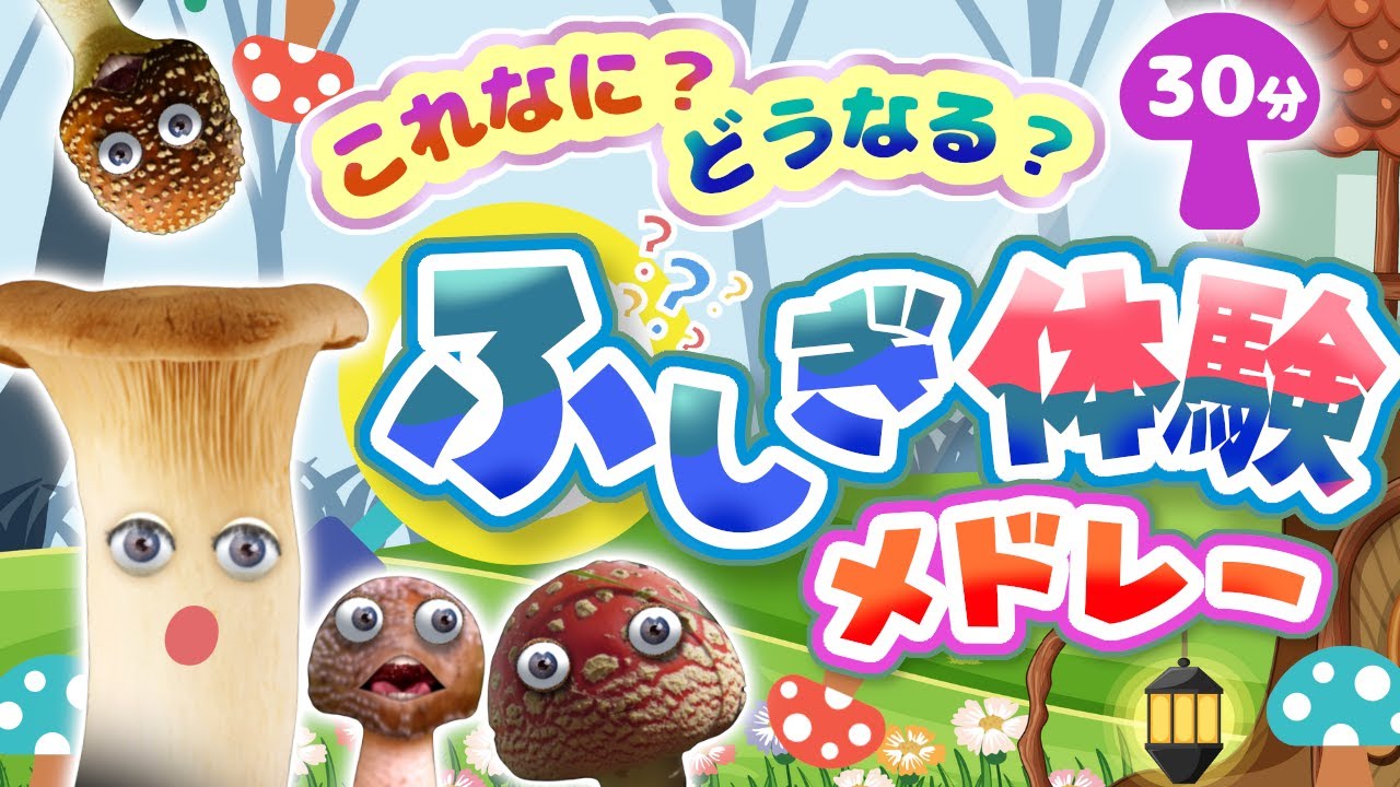 これなに？どうなる？ふしぎ体験メドレー｜赤ちゃん泣き止む｜赤ちゃんが喜ぶうた｜童謡｜こどものうた｜知育アニメ