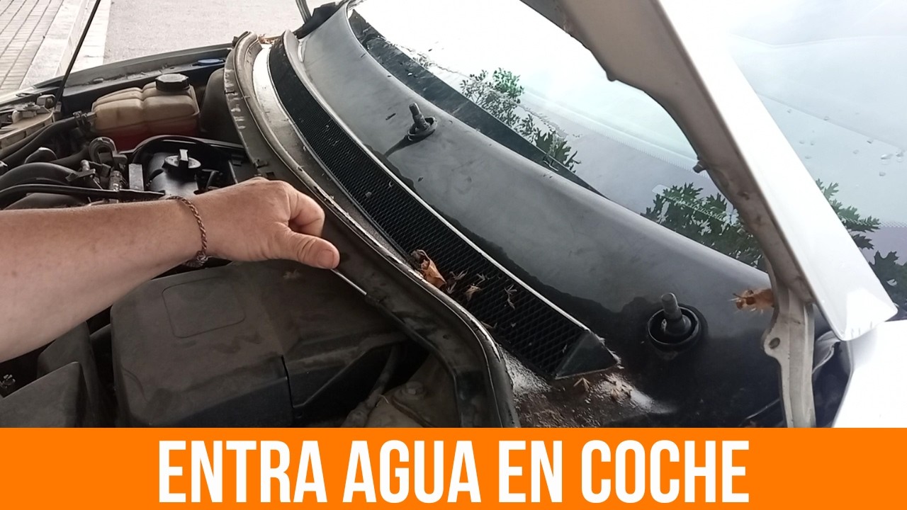 ☔️ Entra agua en coche Ford Focus