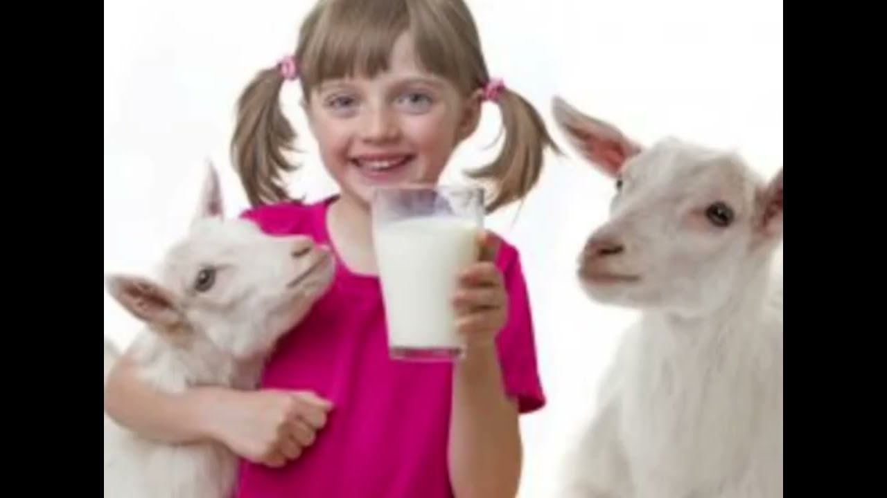 Ознайомлення з природним довкіллям 