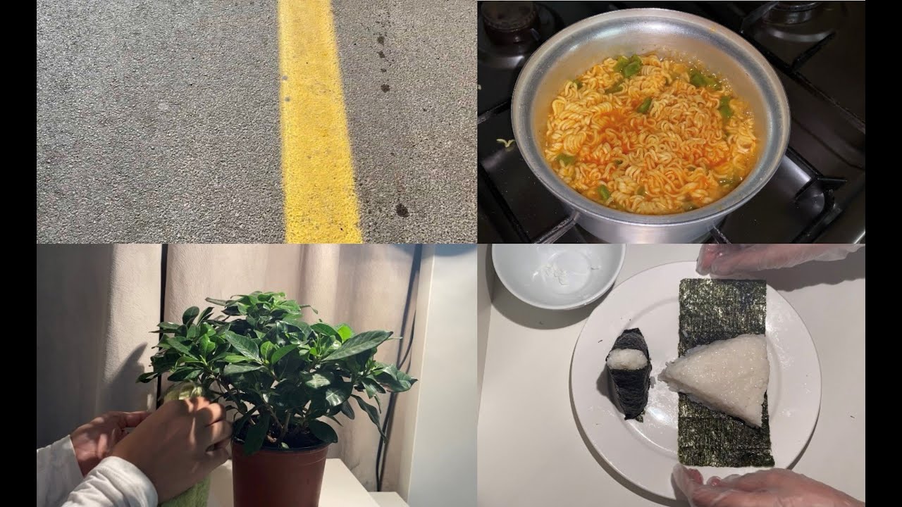 Vlog | Cooking noodles | Making triangle kimbap | Taking care of my plants | Peaceful vlog.