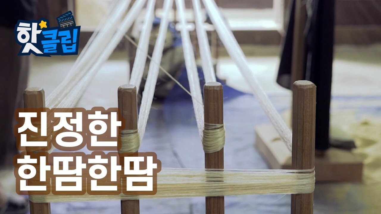 시원함을 자랑하는 모시 제작 과정 [핫클립] / YTN 사이언스