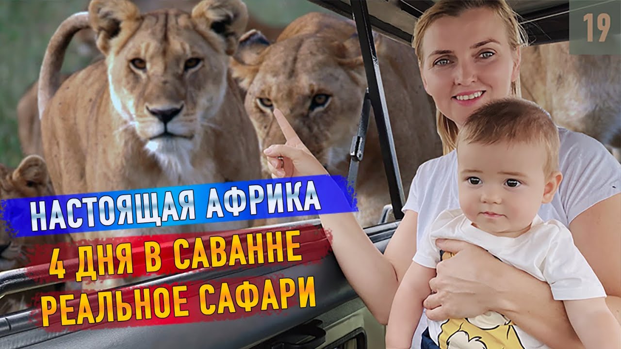 Сафари в Танзании! Поехали в Серенгети с детьми!