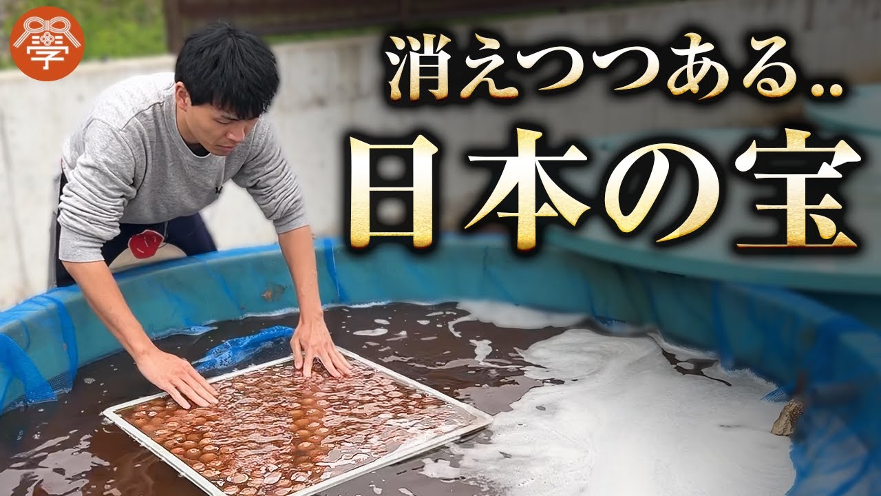 日本最高の健康食「梅干し」を守る男たちの挑戦｜東雅大氏×川嶋政輝
