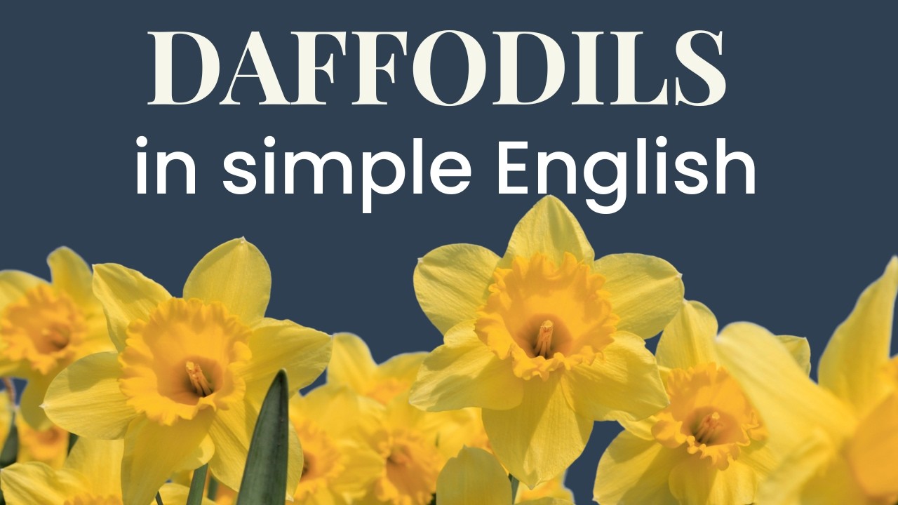 Daffodils by William Wordsworth Explained │Poem Summary, Themes & Meaning