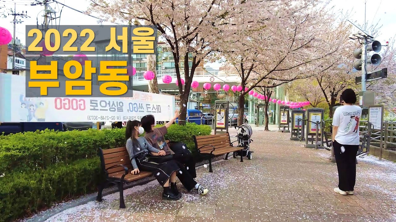 벚꽃 흩날리는 부암동 걷기 Walk on Buam-dong in Seoul 【4K】