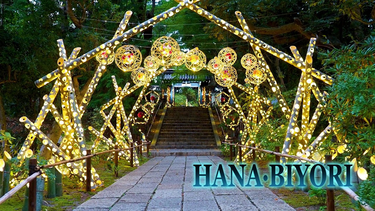 TOKYO. Bamboo Lights of HANA・BIYORI. #竹あかり #4K