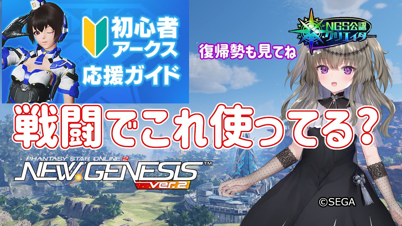 【PSO2NGS】戦闘でこれ使ってる?【PSO2:NGS】