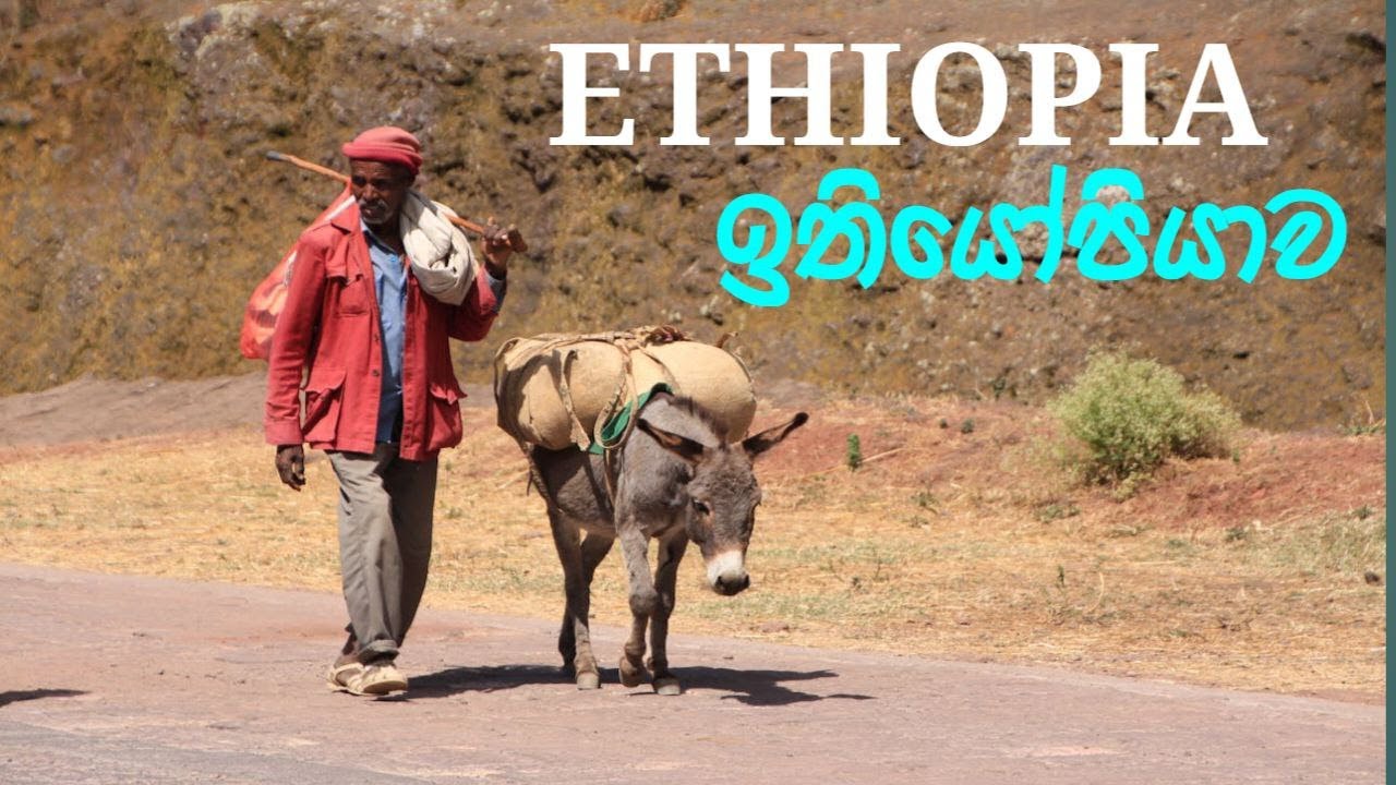 Ethiopia :One of the world’s oldest countries / ඉතියෝපියාව :නූතන මානවයාගේ මුල් නිජබිම[Sinhala Video]
