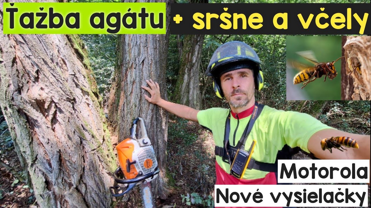 Добыча агата в новом лесу, наткнулся на шершней и пчел + новые моторолы, магнитолы Амлес, Штиль,