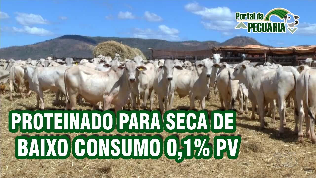 Proteinado para seca de baixo consumo 0,1% PV