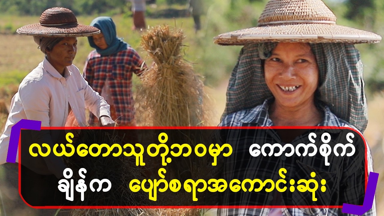 လယ်တောသူတို့ဘဝမှာကောက် စိုက်ချိန်က ပျော်စရာအကောင်းဆုံး