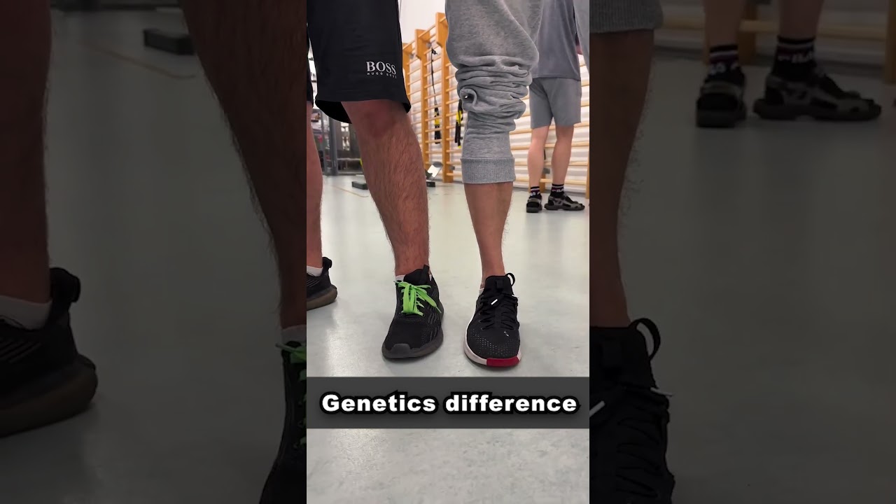 Ectomorph VS Mesomorph Genetics