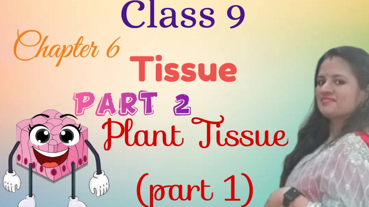 Plant tissue Part-2 |Tissue Class -9#biology#trend #viral #science #learn #viralreels#ncert #tyclass