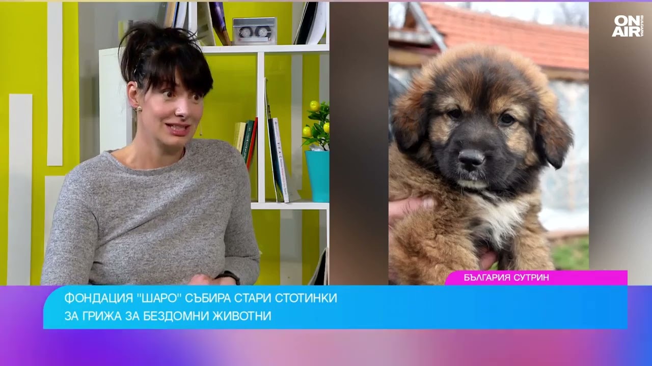 Стари стотинки за нови домове: Кампания на фондация 