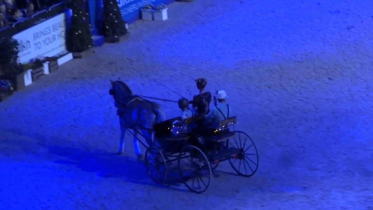 Hessischer Haflinger Zucht- und Sportverein Altenstadt e.V.