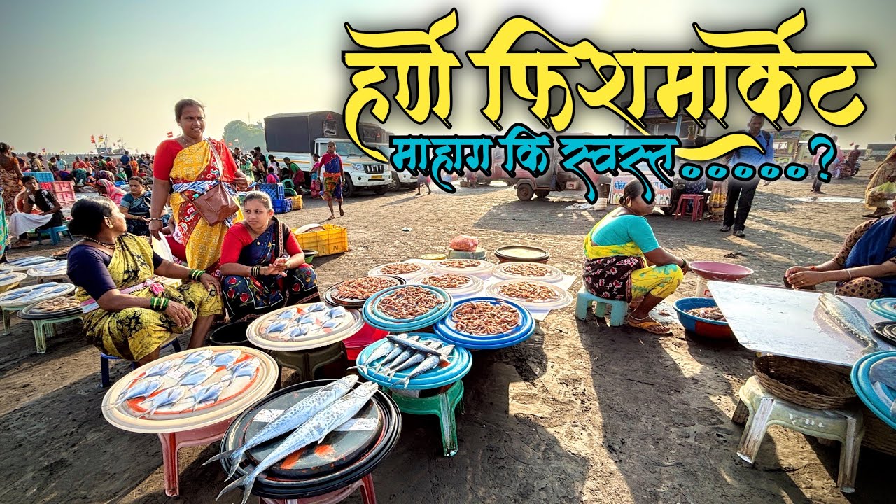 Harne fish market dapoli | हर्णै मच्छी मार्केट | Harnai Fish Auction Dapoli | #travelvlog #kokan