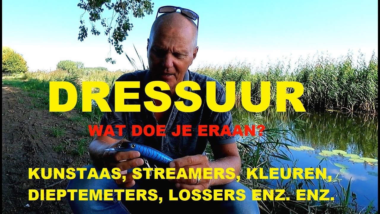 DRESSUUR WAAR MOET JE OP LETTEN EN HOE TE VOORKOMEN